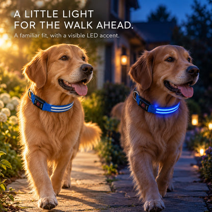 GAVPEPY Woven webbing LED Light-Up Dog Collar, Sizes S, M, L, Red, Green, Blue, Pink, for neighborhood walks, park visits and daily dog wear; an adjustable neckwear option for supervised walks and everyday outings image 7 - 6.jpg
