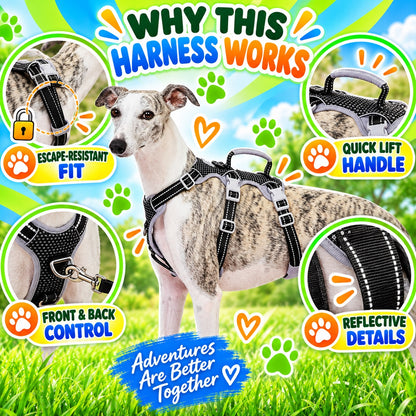 Reflective No-Pull Dog Harness With Lift Handle, 4 Colors and 5 Sizes, By GAVPEPY image 7 - 6.jpg
