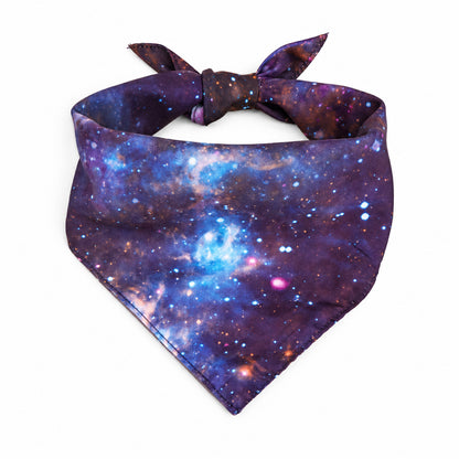 GAVPEPY Polyester Galaxy Print Pet Bandana, Size L, as pictured, for pet photos, outings and celebrations; decorative neckwear with the selected print and fit shown in the product photos; review the selected variant photo for details image 9 - DPbib20-Design03-L.jpg
