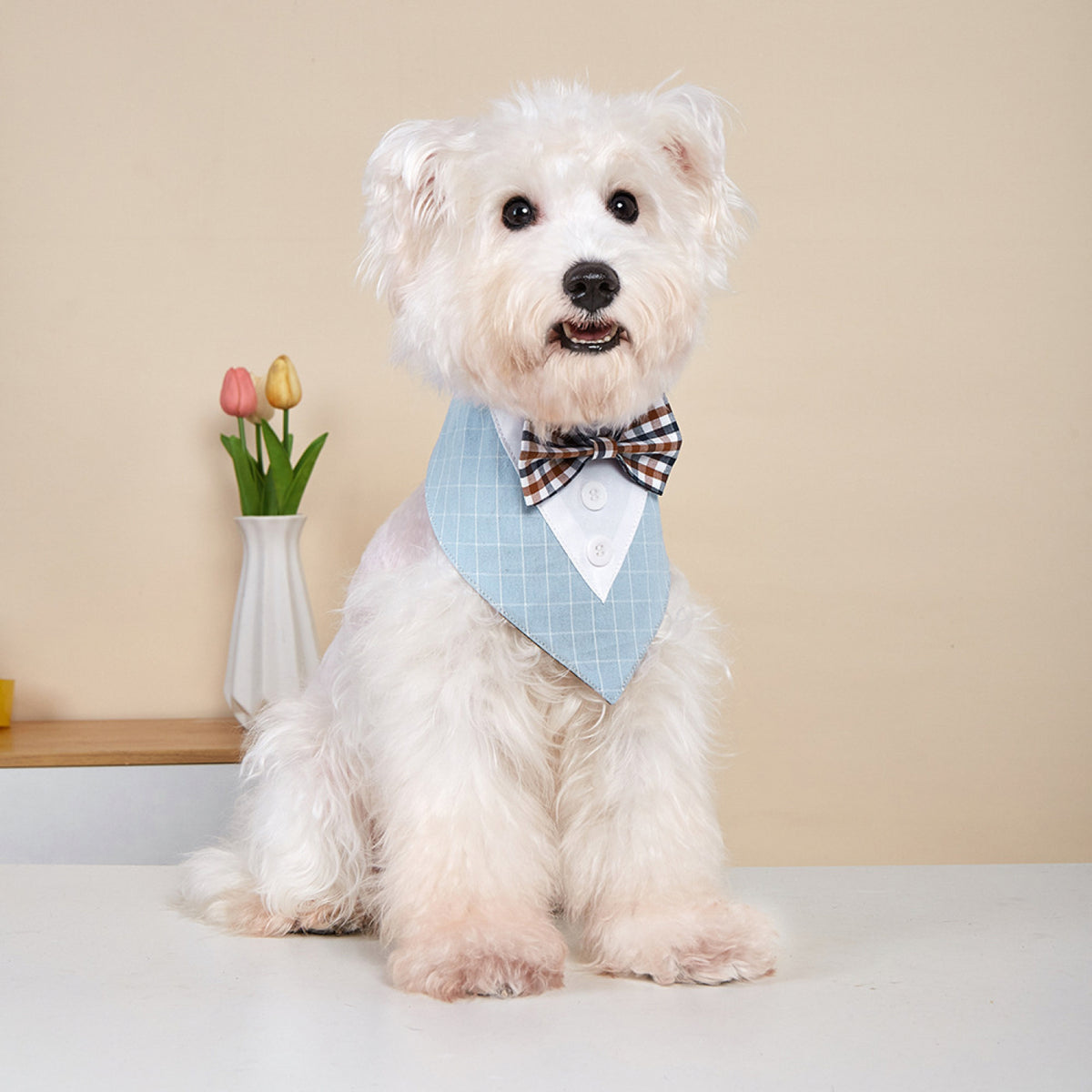 GAVPEPY Polyester Tuxedo-Style Pet Bandana, Sizes XS, S, M, L, XL, 6 color or pattern options, for photos, celebrations, walks and everyday pet outfits; a neckwear accessory for everyday outfits, portraits and special occasions image 12 - DPbib27-Blue-XS.jpg