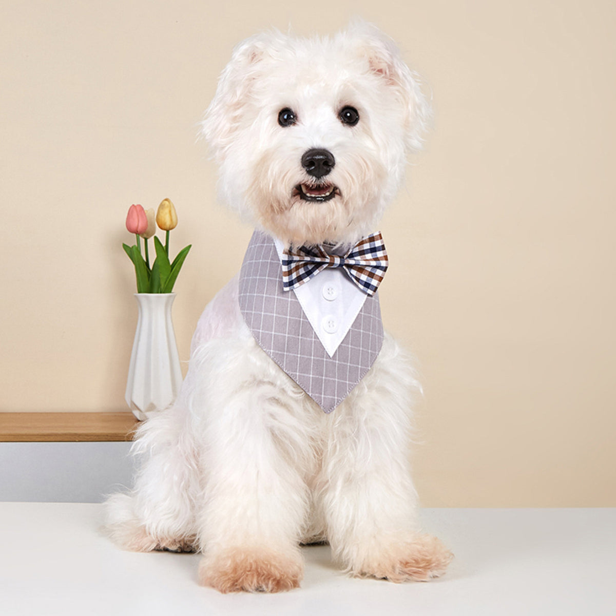 GAVPEPY Polyester Tuxedo-Style Pet Bandana, Sizes XS, S, M, L, XL, 6 color or pattern options, for photos, celebrations, walks and everyday pet outfits; a neckwear accessory for everyday outfits, portraits and special occasions image 8 - DPbib27-Gray-XS.jpg