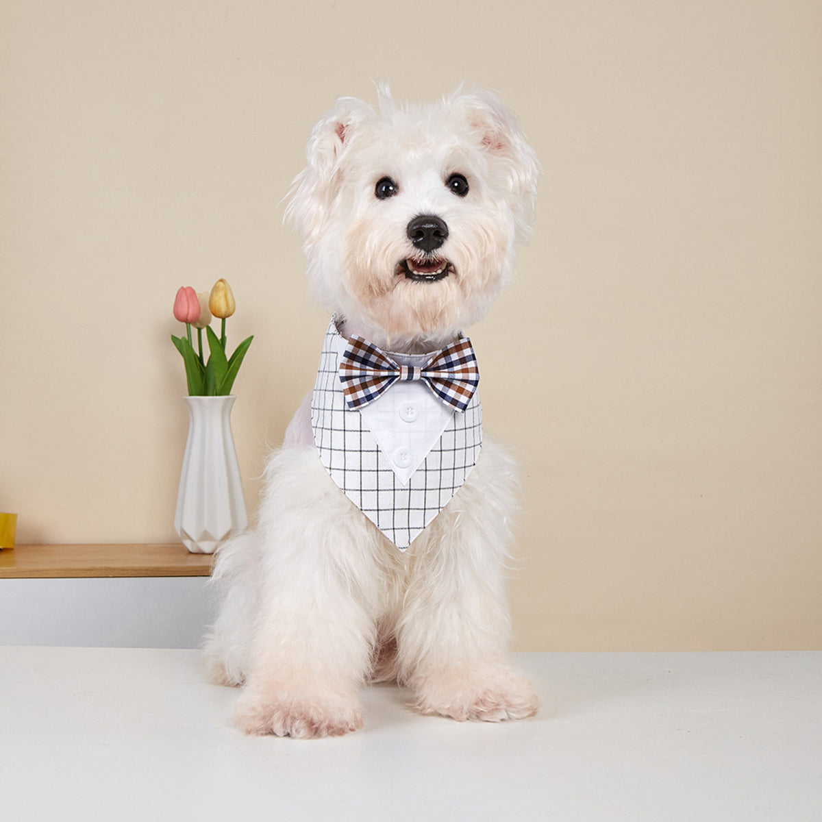 GAVPEPY Polyester Tuxedo-Style Pet Bandana, Sizes XS, S, M, L, XL, 6 color or pattern options, for photos, celebrations, walks and everyday pet outfits; a neckwear accessory for everyday outfits, portraits and special occasions image 10 - DPbib27-White-XS.jpg