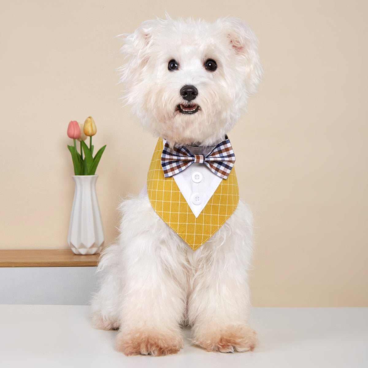 GAVPEPY Polyester Tuxedo-Style Pet Bandana, Sizes XS, S, M, L, XL, 6 color or pattern options, for photos, celebrations, walks and everyday pet outfits; a neckwear accessory for everyday outfits, portraits and special occasions image 13 - DPbib27-Yellow-XS.jpg