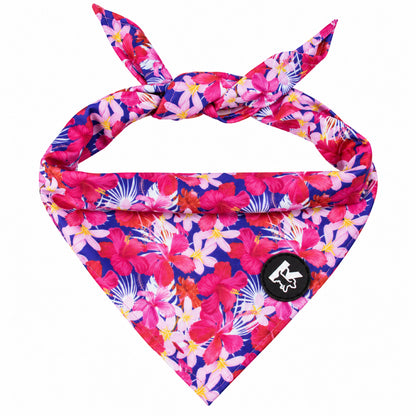 GAVPEPY Polyester Floral Print Pet Bandana, Size One Size, Green, for pet photos, outings and celebrations; decorative neckwear with the selected print and fit shown in the product photos; review the selected variant photo for details image 12 - DPbib34-Design06-OneSize.jpg
