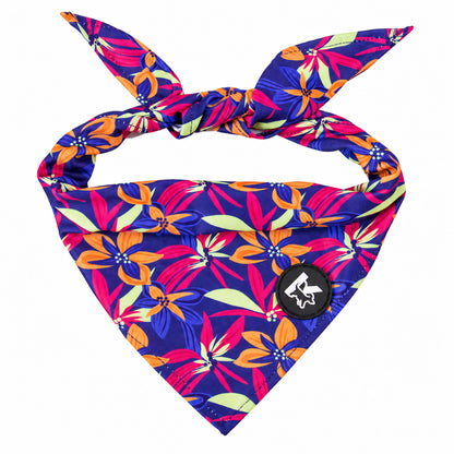 GAVPEPY Polyester Floral Print Pet Bandana, Size One Size, Green, for pet photos, outings and celebrations; decorative neckwear with the selected print and fit shown in the product photos; review the selected variant photo for details image 13 - DPbib34-Design07-OneSize.jpg