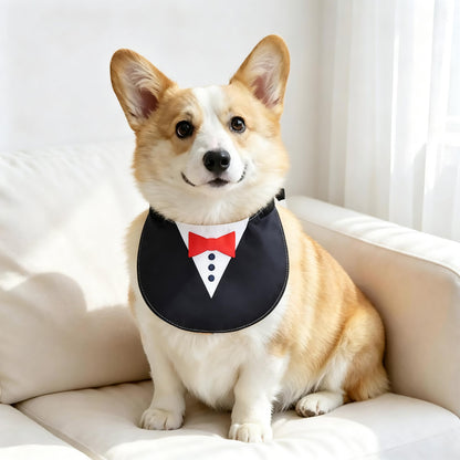 GAVPEPY Polyester Adjustable Printed Pet Bib, Sizes S, M, L, XL, XXL, 5 color or pattern options, for photos, celebrations, walks and everyday pet outfits; a neckwear accessory for everyday outfits, portraits and special occasions image 9 - DPbib36-Black-S.jpg