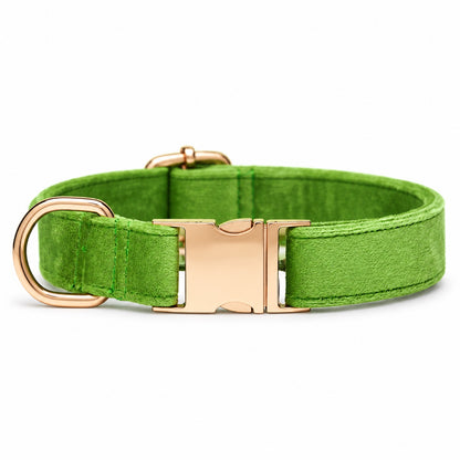 GAVPEPY Yarn Adjustable Fabric Dog Collar, Sizes XS, S, M, L, Coral Orange, Aqua Green, Corn Yellow, Apple Green, for neighborhood walks, park visits and daily dog wear; an adjustable neckwear option for supervised walks and everyday outings image 10 - DPcollar22-AppleGreen-XS-CollarOnly.jpg