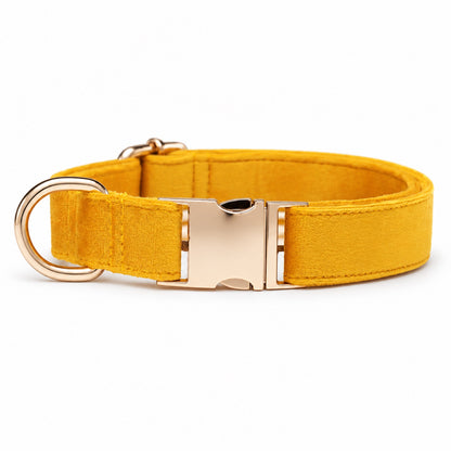 GAVPEPY Yarn Adjustable Fabric Dog Collar, Sizes XS, S, M, L, Coral Orange, Aqua Green, Corn Yellow, Apple Green, for neighborhood walks, park visits and daily dog wear; an adjustable neckwear option for supervised walks and everyday outings image 9 - DPcollar22-CornYellow-XS-CollarOnly.jpg