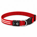 GAVPEPY Nylon Dual-Fiber LED Dog Collar, Sizes S, M, L, Red, Blue, Green, for neighborhood walks, park visits and daily dog wear; an adjustable neckwear option for supervised walks and everyday outings
