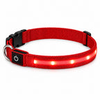 GAVPEPY Nylon LED Strip Dog Collar, Sizes S, M, L, Red, Blue, Green, for daily dog walks and outdoor wear; adjustable neckwear with the selected finish and fit shown in the product photos; review the selected variant photo for details