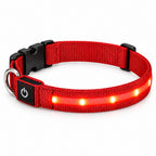 GAVPEPY Nylon Single-Fiber LED Dog Collar, Sizes S, M, L, Red, Blue, Green, for neighborhood walks, park visits and daily dog wear; an adjustable neckwear option for supervised walks and everyday outings
