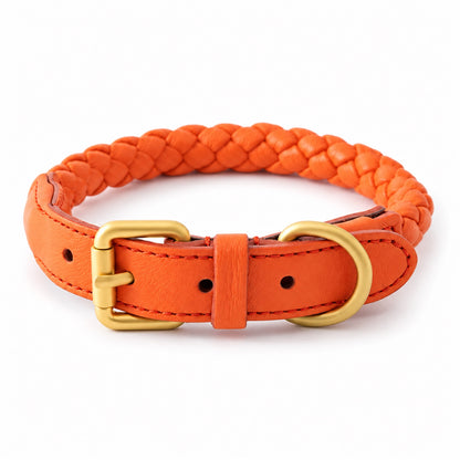 GAVPEPY Leather-style material Braided Dog Collar, Sizes S, M, L, Yellow, Orange, Blue, Gray, for neighborhood walks, park visits and daily dog wear; an adjustable neckwear option for supervised walks and everyday outings image 8 - DPcollar29-Orange-S-CollarOnly.jpg
