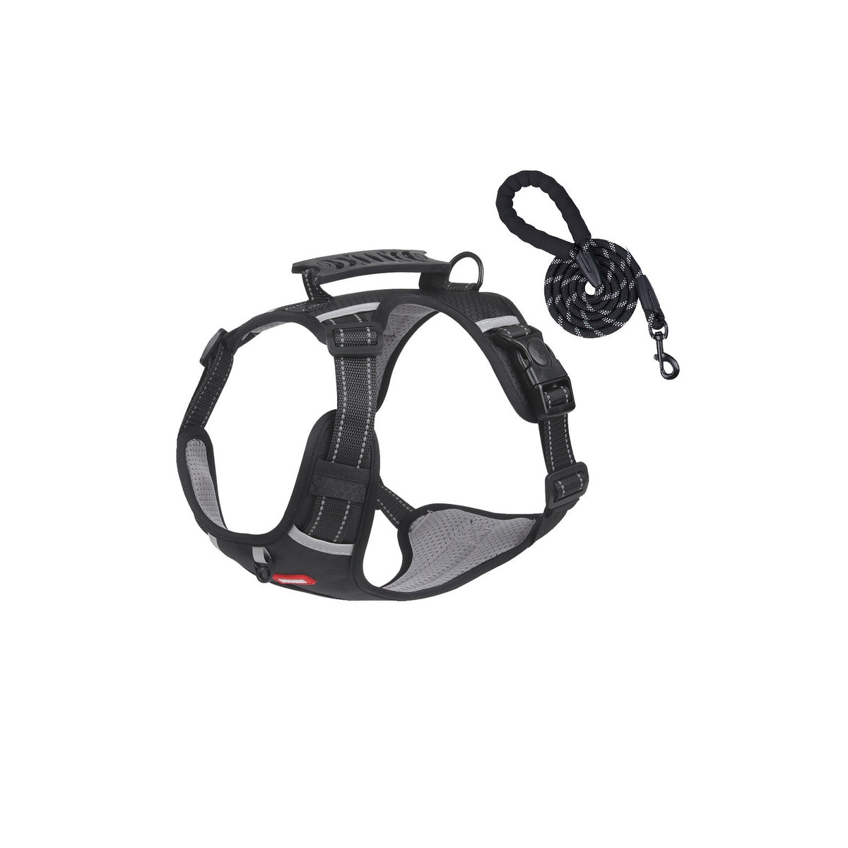 Reflective No-Pull Dog Harness Set Options, 4 Colors and 5 Sizes, By GAVPEPY image 8 - bianti-black-harness-leash-set.jpg