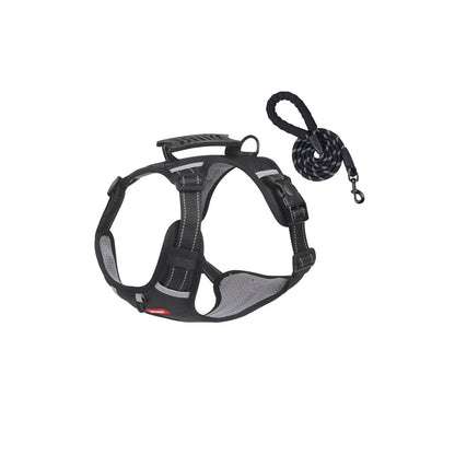 Reflective No-Pull Dog Harness Set Options, 4 Colors and 5 Sizes, By GAVPEPY image 8 - bianti-black-harness-leash-set.jpg
