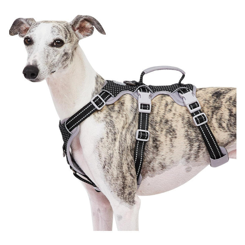Reflective No-Pull Dog Harness With Lift Handle, 4 Colors and 5 Sizes, By GAVPEPY image 8 - bianti-black.jpg