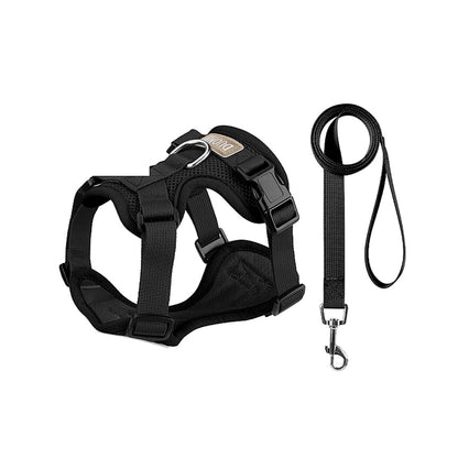 Breathable Mesh Dog Harness and Leash Set, 6 Colors and 4 Sizes, By GAVPEPY image 8 - bianti-black.jpg