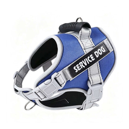 Reflective Dog Harness and Leash Set, 6 Colors and 6 Sizes, By GAVPEPY image 11 - bianti-blue.jpg