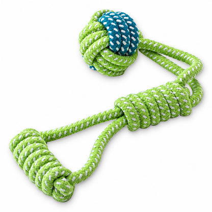 Interactive Dog Toy Collection, 54 Styles, By GAVPEPY image 21 - bianti-double-candy-hanging-ball-green-5794616468938.jpg