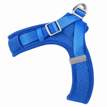 Breathable Mesh Dog Harness, 7 Colors and 4 Sizes, By GAVPEPY image 13 - bianti-lake-blue.jpg