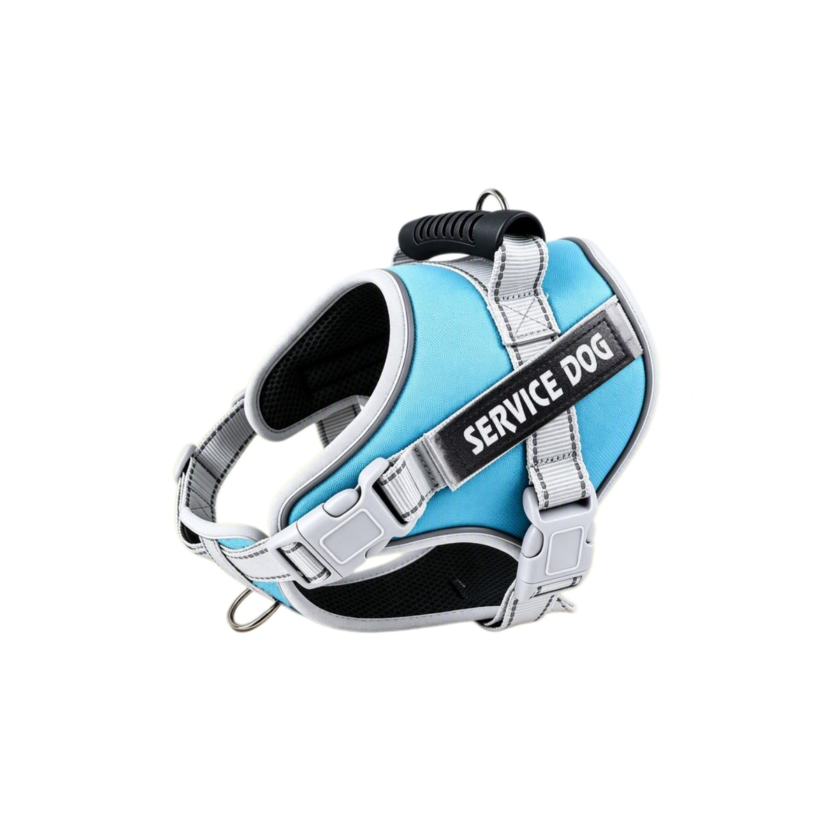 Reflective Dog Harness and Leash Set, 6 Colors and 6 Sizes, By GAVPEPY image 15 - bianti-light-blue.jpg