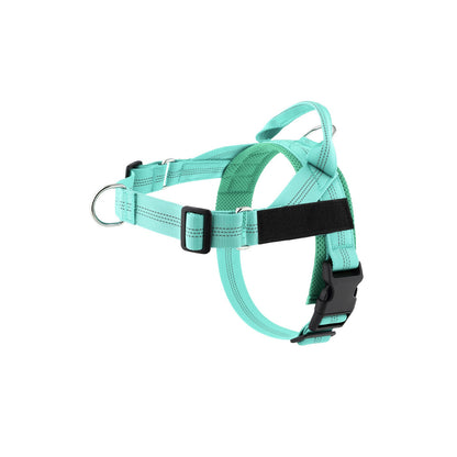 Lightweight Adjustable Nylon Dog Harness, 10 Colors and 5 Sizes, By GAVPEPY image 13 - bianti-mint.jpg