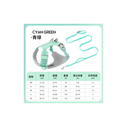Quick-Dry Outdoor Dog Harness, 13 Colors and 5 Sizes, By GAVPEPY image 18 - bianti-mist-green-set.jpg