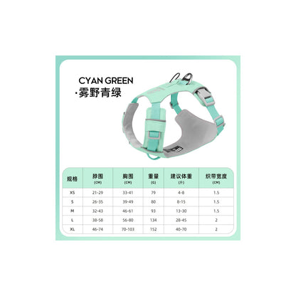 Quick-Dry Outdoor Dog Harness, 13 Colors and 5 Sizes, By GAVPEPY image 19 - bianti-mist-green.jpg