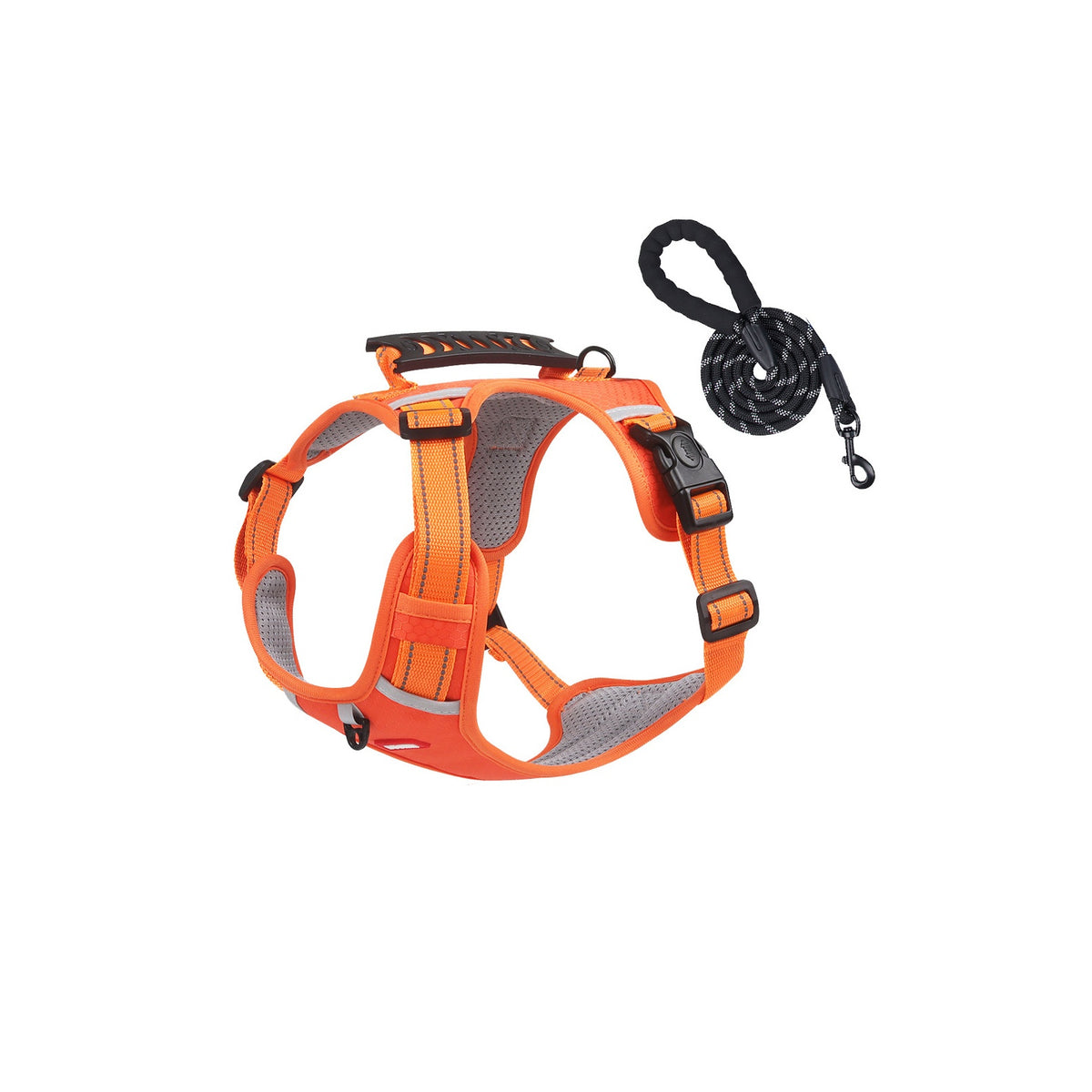 Reflective No-Pull Dog Harness Set Options, 4 Colors and 5 Sizes, By GAVPEPY image 12 - bianti-orange-harness-leash-set.jpg