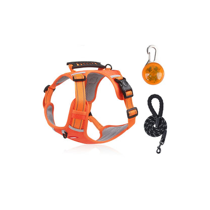 Reflective No-Pull Dog Harness Set Options, 4 Colors and 5 Sizes, By GAVPEPY image 14 - bianti-orange-three-piece-set.jpg