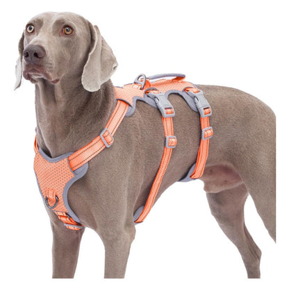 Reflective No-Pull Dog Harness With Lift Handle, 4 Colors and 5 Sizes, By GAVPEPY image 9 - bianti-orange.jpg
