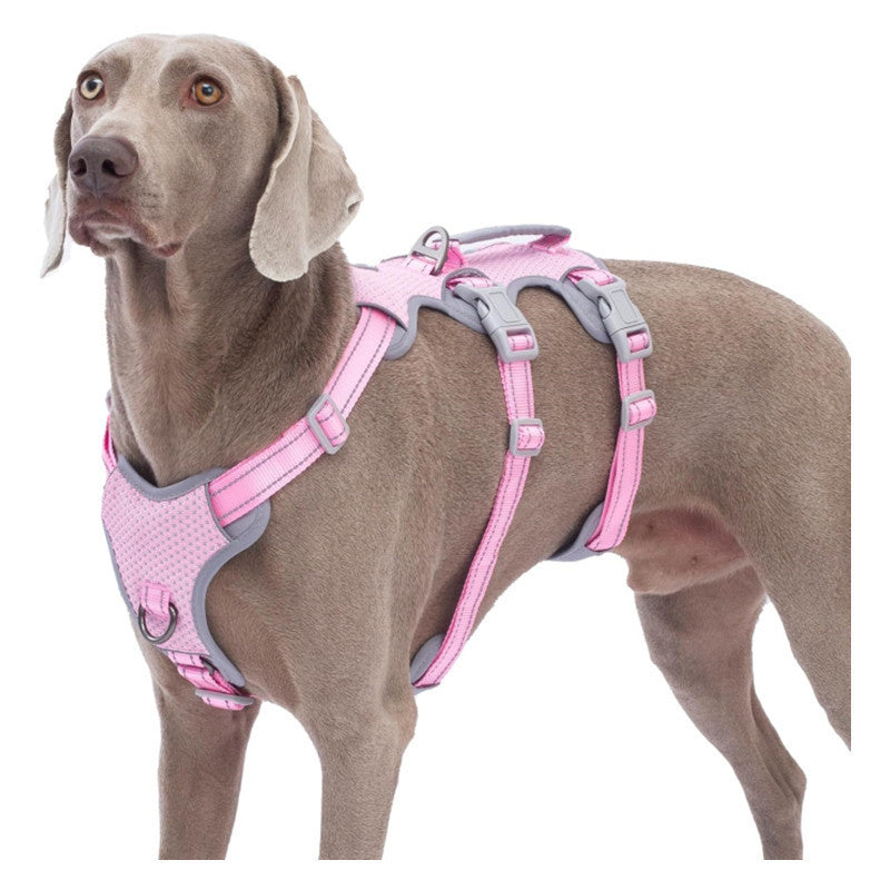 Reflective No-Pull Dog Harness With Lift Handle, 4 Colors and 5 Sizes, By GAVPEPY image 10 - bianti-pink.jpg