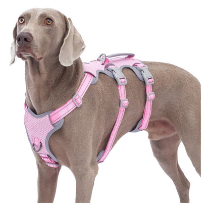 Reflective No-Pull Dog Harness With Lift Handle, 4 Colors and 5 Sizes, By GAVPEPY image 10 - bianti-pink.jpg