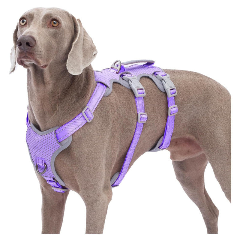Reflective No-Pull Dog Harness With Lift Handle, 4 Colors and 5 Sizes, By GAVPEPY image 11 - bianti-purple.jpg