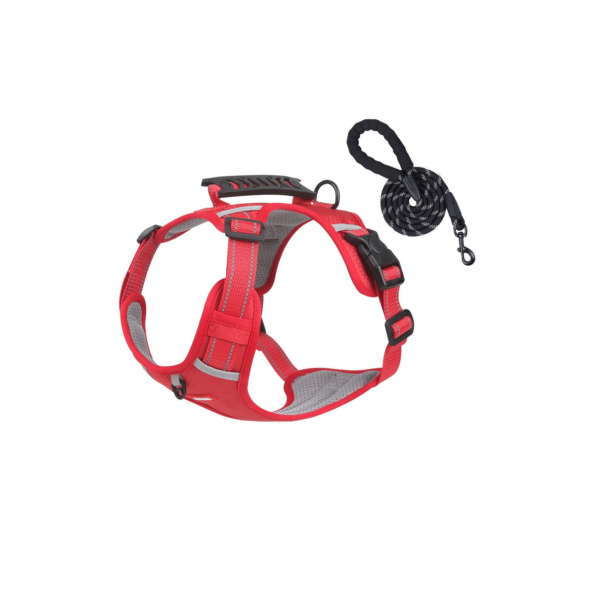 Reflective No-Pull Dog Harness Set Options, 4 Colors and 5 Sizes, By GAVPEPY image 16 - bianti-red-harness-leash-set.jpg