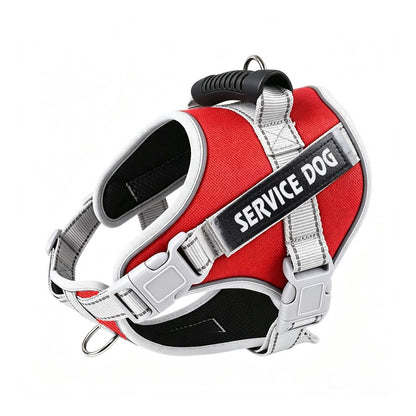 Reflective Dog Harness and Leash Set, 6 Colors and 6 Sizes, By GAVPEPY image 19 - bianti-red.jpg