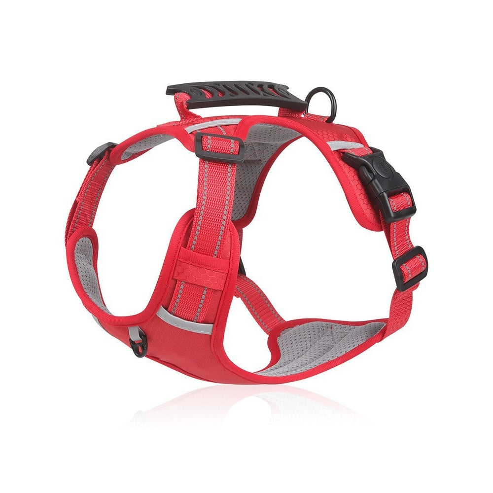 No-Pull Dog Harness With Top Handle, 4 Colors and 5 Sizes, By GAVPEPY image 10 - bianti-red.jpg