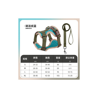 Padded Small Dog Harness and Leash Set, 6 Colors and 4 Sizes, By GAVPEPY image 13 - bianti-variant.jpg