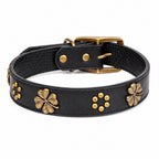 GAVPEPY Leather-style material Decorative Dog Collar, Sizes 2-0 X 40, 2-5 X 50, Black, for neighborhood walks, park visits and daily dog wear; an adjustable neckwear option for supervised walks and everyday outings