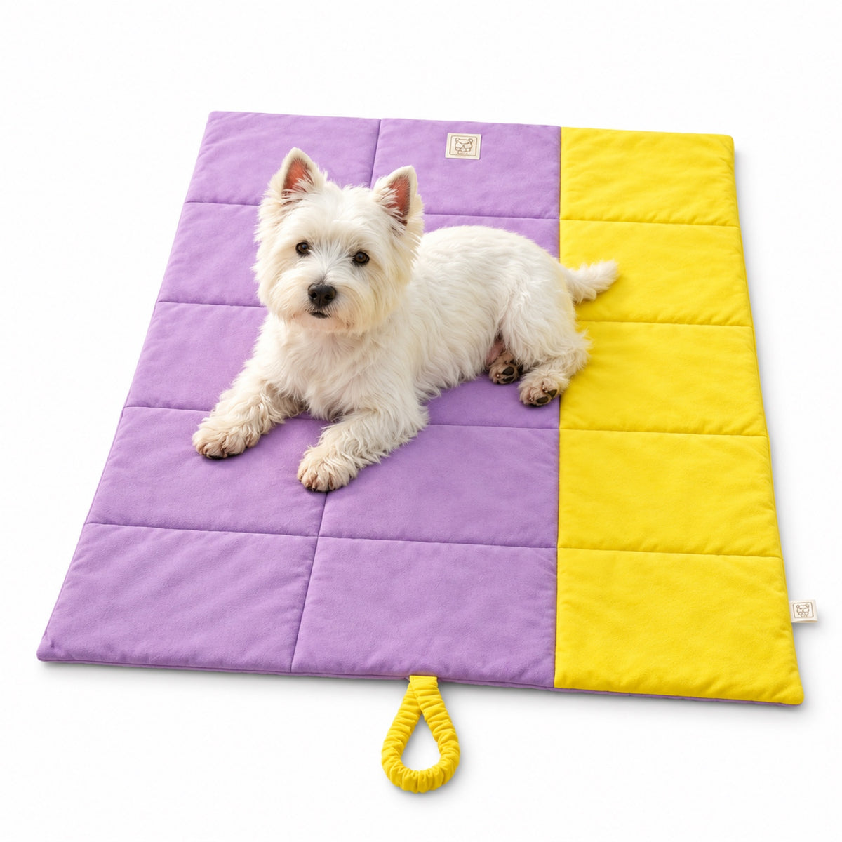 Multipurpose Water-Resistant Pet Mat, By GAVPEPY image 1 - main.jpg