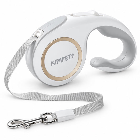 Premium Retractable Dog Leash, 4 Colors and 2 Lengths, By GAVPEPY image 1 - main.jpg