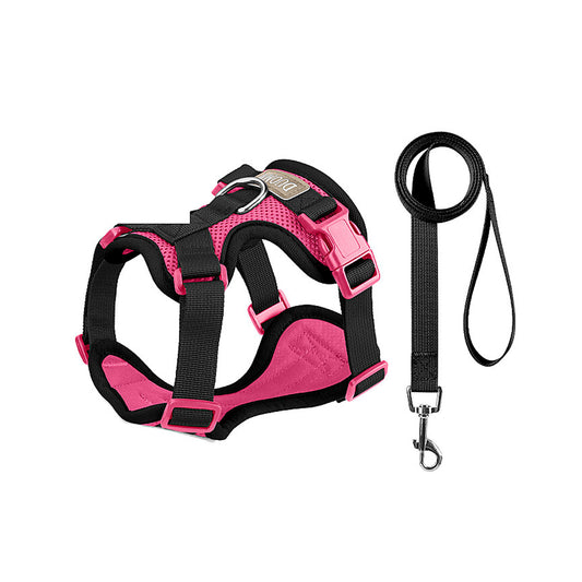 Breathable Mesh Dog Harness and Leash Set, 6 Colors and 4 Sizes, By GAVPEPY image 1 - main.jpg
