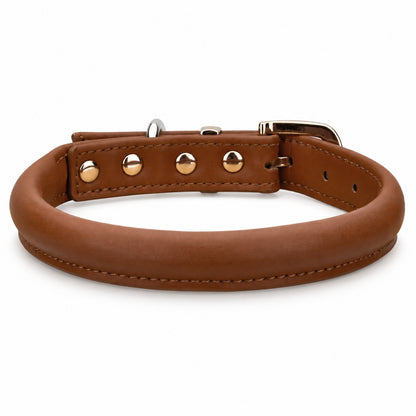 GAVPEPY Leather-style material Padded Dog Collar, Sizes S, M, L, XL, Brown, White, Black, for neighborhood walks, park visits and daily dog wear; an adjustable neckwear option for supervised walks and everyday outings image 2 - main.jpg