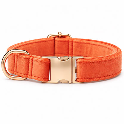 GAVPEPY Yarn Adjustable Fabric Dog Collar, Sizes XS, S, M, L, Coral Orange, Aqua Green, Corn Yellow, Apple Green, for neighborhood walks, park visits and daily dog wear; an adjustable neckwear option for supervised walks and everyday outings image 2 - main.jpg