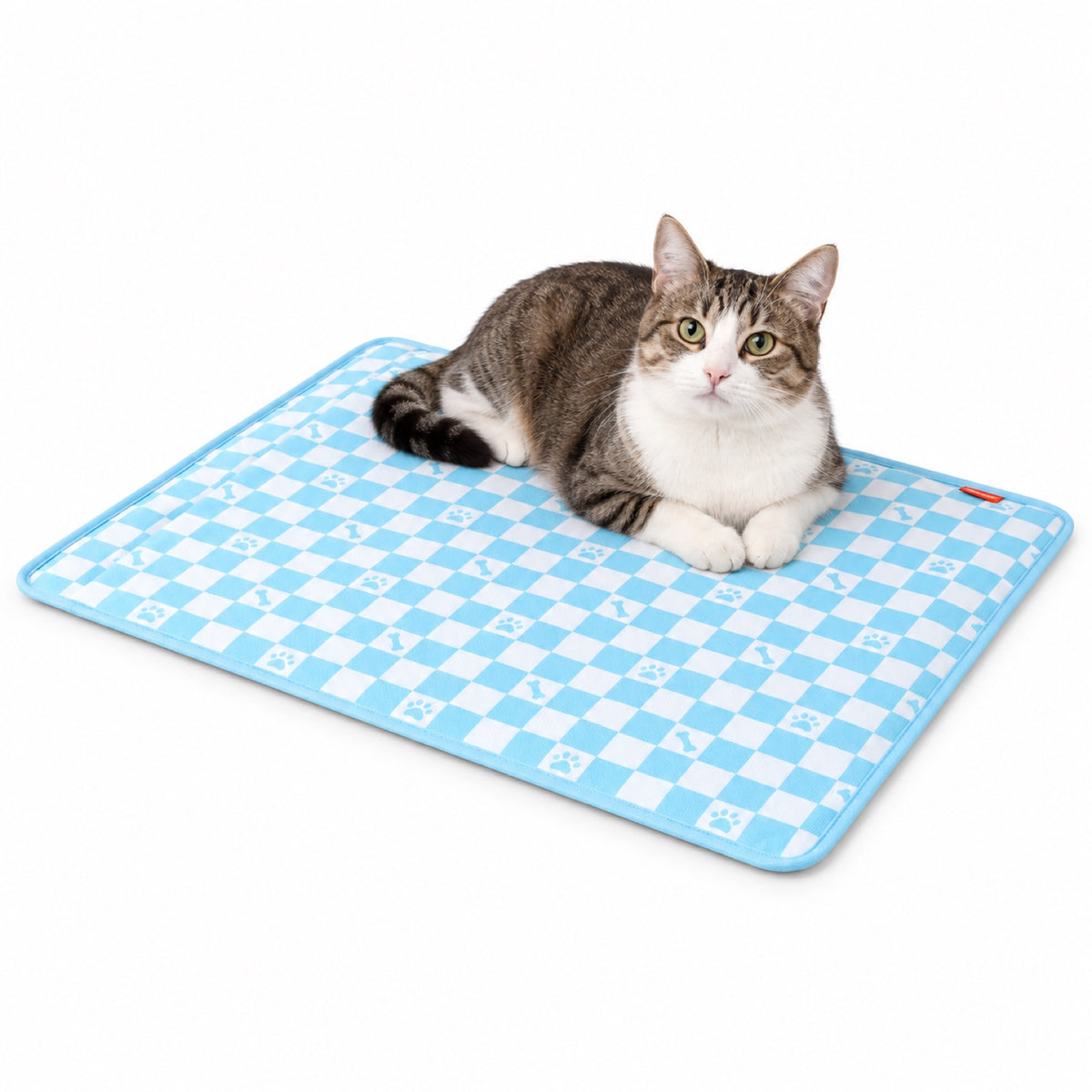 Foam Pet Bed Mat, 4 Colors & 3 Sizes, By GAVPEPY image 1 - main.jpg