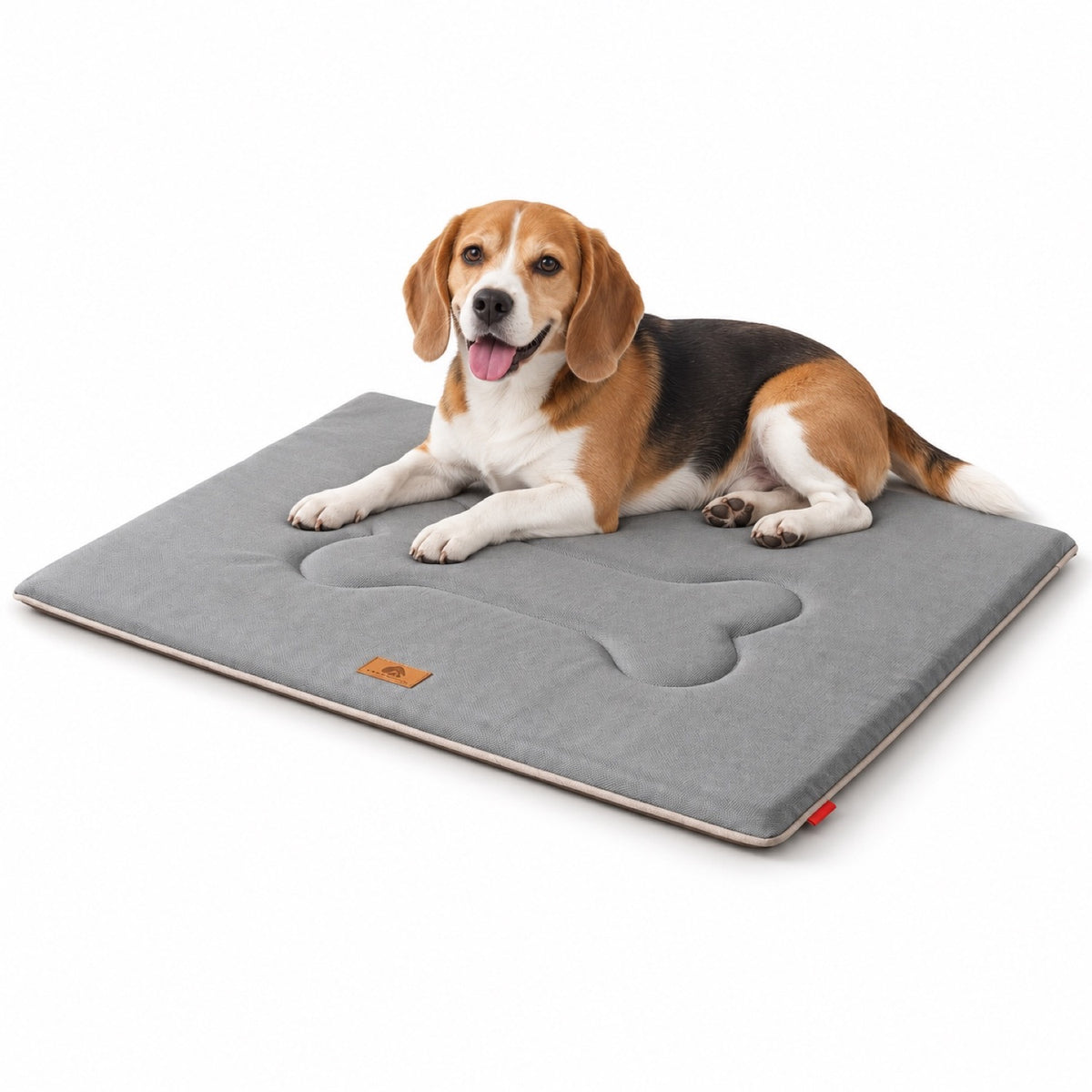 Thick Waterproof Oxford Fabric Pet Mat, 2 Colors & 4 Sizes, By GAVPEPY image 1 - main.jpg