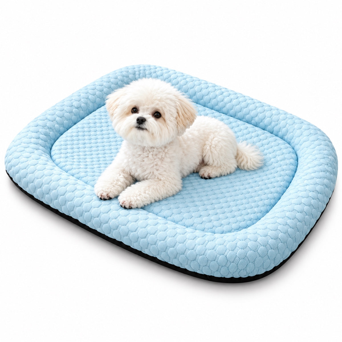 3D Cooling Pet Mat, 2 Colors & 4 Sizes, By GAVPEPY image 1 - main.jpg