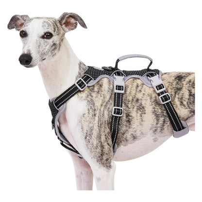 Reflective No-Pull Dog Harness With Lift Handle, 4 Colors and 5 Sizes, By GAVPEPY image 1 - main.jpg