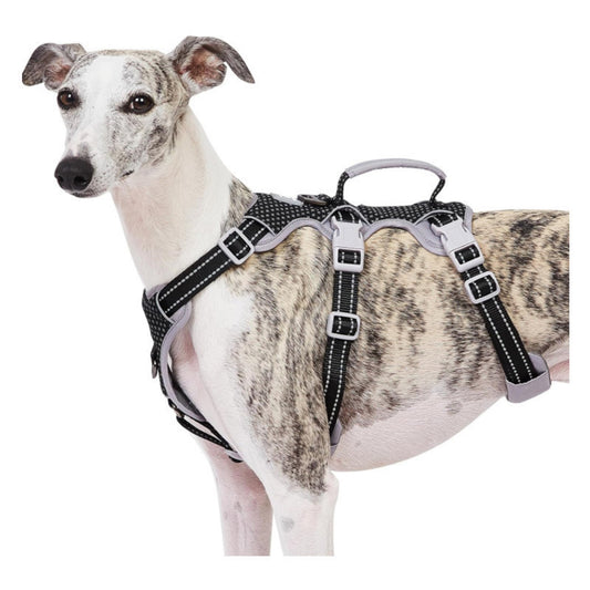 Reflective No-Pull Dog Harness With Lift Handle, 4 Colors and 5 Sizes, By GAVPEPY image 1 - main.jpg