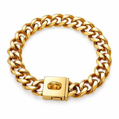 GAVPEPY Stainless Steel Link Dog Collar, 6 size options, Gold, Steel, for daily dog walks and outdoor wear; adjustable neckwear with the selected finish and fit shown in the product photos; review the selected variant photo for details image 2 - main.jpg