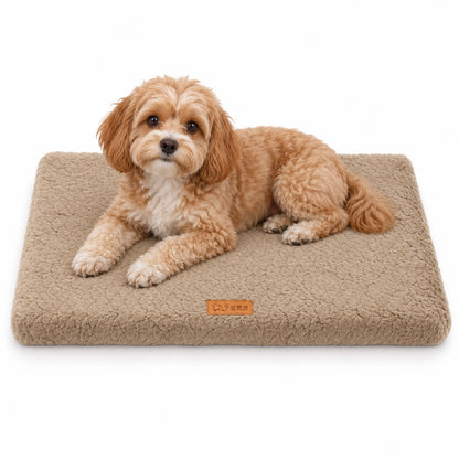 Removable-Cover Foam Pet Bed Mat, 4 Colors & 5 Sizes, By GAVPEPY image 1 - main.jpg